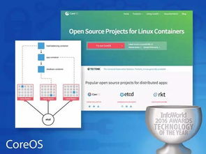 2023年度最佳硬件、軟件、開發工具、云服務與數據處理存儲支持服務全景概覽
